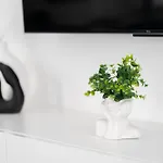 Prestige Apartment